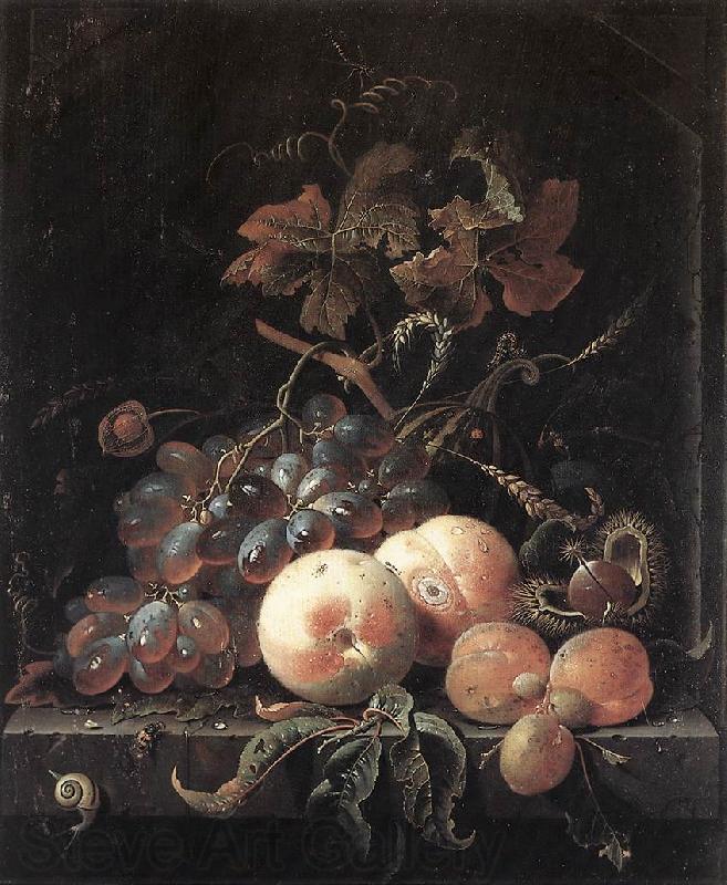 MIGNON, Abraham Still-Life with Fruits sg